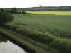 Canal, fields of Barley and Rape towards Runcorn