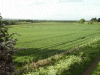 View over the fields towards Moore