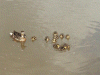 Mother Mallard Duck and duckings