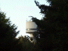 Daresbury Firs and NSF Tower
