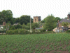 Sown fields and Daresbury Church tower