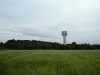NSF Tower and Keckwick hill from the ripening grain fields