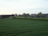 Fields, looking towards the Red Lion Pub in Moore