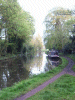 The Canal going back towards Daresbury