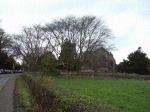 Looking back towards the Daresbury Church on the way to Hatton