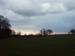 Meadows and Cloudscape