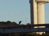 Heron and NSF Tower