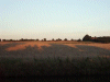 Approaching twilight over the grain fields