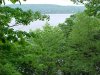 Woodland scenes around LDEO, Columbia Univ., Palisades, N.Y., USA