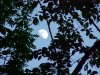 Moonscapes of LDEO, Columbia Univ., Palisades, N.Y., USA