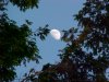 Moonscapes of LDEO, Columbia Univ., Palisades, N.Y., USA