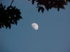 Moonscapes of LDEO, Columbia Univ., Palisades, N.Y., USA