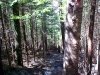 Climbing down to Crane Mountain Pond, Adirondack Park