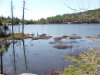 At Crane Mountain Pond, Adirondack Park