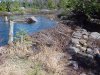 Beaver dam at Crane Mountain Pond, Adirondack Park