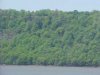 Palisades on the other side of the Hudson River