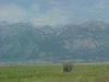 Teton Mountains