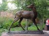White Tail Deer statue at National Museum of Wildlife Art, Wyoming