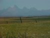 View of the Teton Mountains