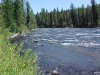 Falls River, Cave Falls campground, Targee National Forest, Wyoming