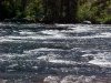 Falls River, Cave Falls campground, Targee National Forest, Wyoming