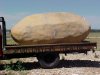 Giant Idaho Potato