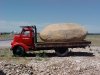 Giant Idaho Potato