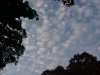 Cloudscapes of LDEO, Columbia Univ., Palisades, N.Y., USA