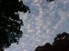 Cloudscapes of LDEO, Columbia Univ., Palisades, N.Y., USA
