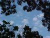 Cloudscapes of LDEO, Columbia Univ., Palisades, N.Y., USA