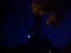 Predawn; LDEO, Columbia Univ., Palisades, N.Y., USA
