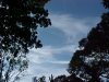 Wispy cloud and skyscape of LDEO, Columbia Univ., Palisades, N.Y., USA