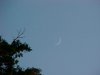 Twilight Crescent Moon of LDEO, Columbia Univ., Palisades, N.Y., USA