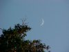 Crescent moonscape of LDEO, Columbia Univ., Palisades, N.Y., USA