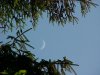 Crescent moonscape of LDEO, Columbia Univ., Palisades, N.Y., USA