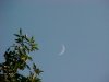 Crescent moonscape of LDEO, Columbia Univ., Palisades, N.Y., USA