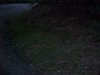 Futile attempt to photo fireflies / lightning bugs