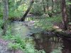 Creeks and streams of Backwoods Southern Vermont: Summer 2001