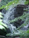 Waterfalls of Backwoods Southern Vermont: Summer 2001