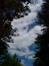 Skyscapes of Backwoods Southern Vermont: Summer 2001