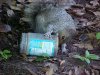 Squirrel with empty Skippy jar