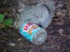 Squirrel with empty Skippy jar