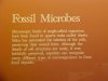 Fossil microbes