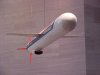 Tomahawk cruise missle