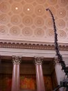 Mother Barosaurus in the Theodore Roosevelt Memorial Hall