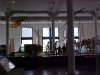 View of the Mammal bone gallery