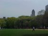 Central park and buildings in the distance