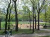 Central Park Baseball and buildings in the distance