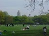Sheep Meadow of Central Park and buildings in the distance