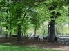 Scenes of Central Park